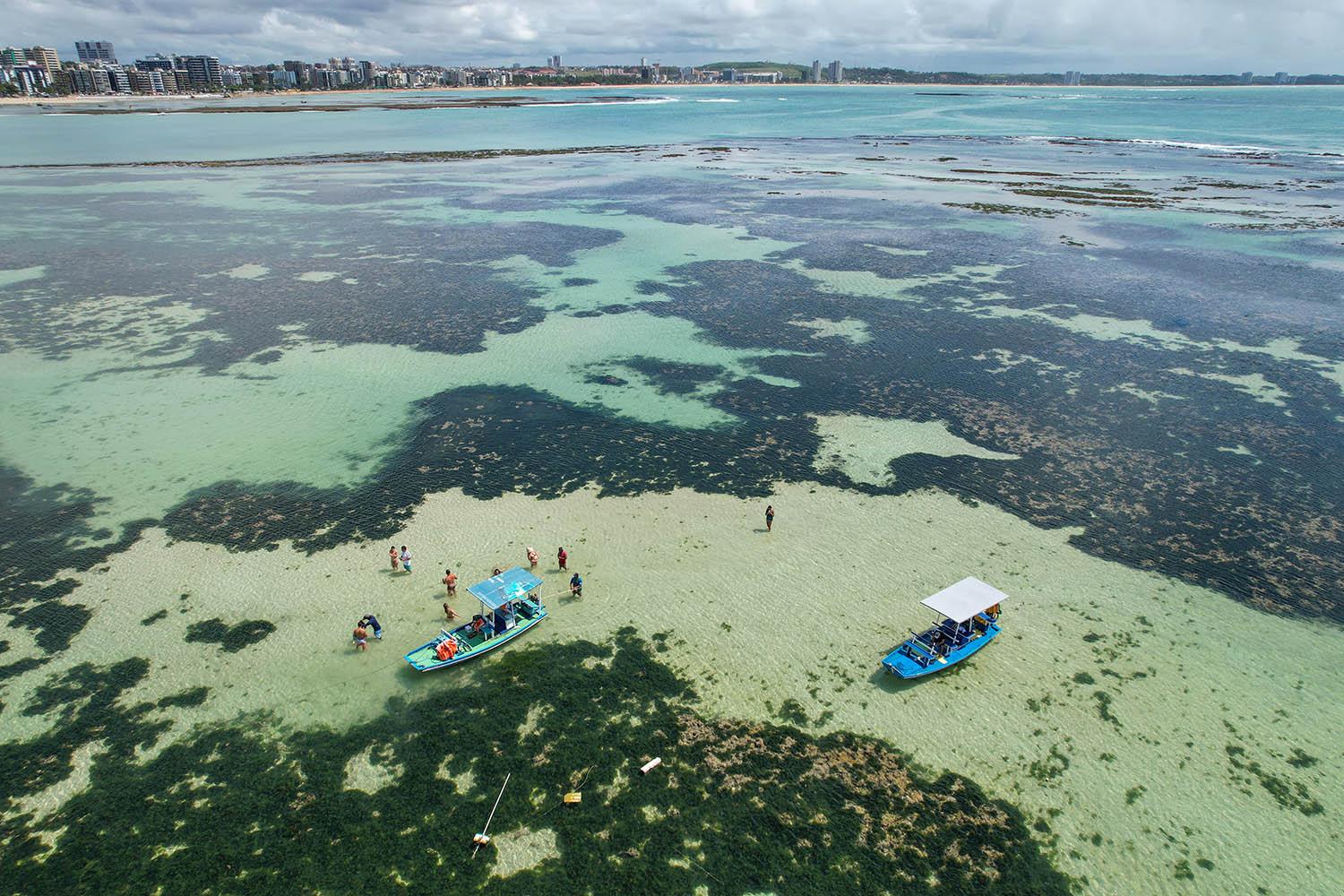 Estilo de vida à beira-mar em Pajuçara
